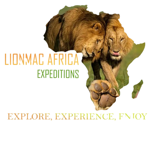 Lionmac Africa