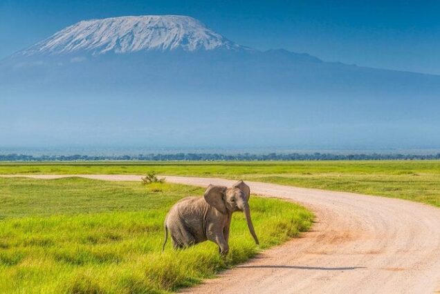 Amboseli National Reserve