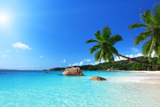 Malindi, Watamu, Kilifi Fliying Packages